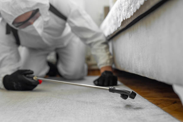 Professional Termite Control technician working in Dakota City, NE