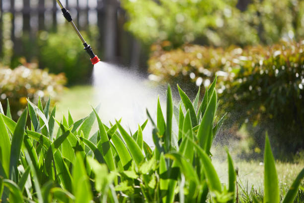 24/7 Emergency Termite Control experts in Dakota City, NE